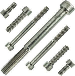 DIN912 Steel Socket Bolt and Screw in Galvanised (Assembly bolt)