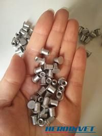 Stainless Steel Semi Tubular Rivet China Fastener Manufacturer