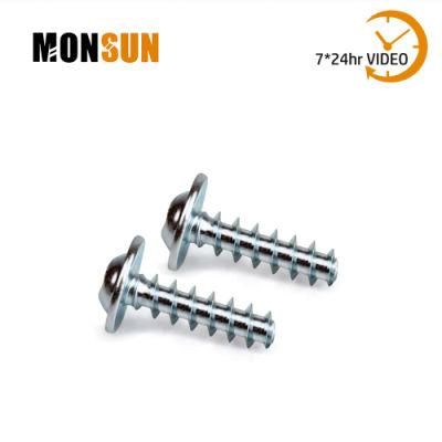 Flat /Round Washer Head Zinc Plated Steel Plastic Screws