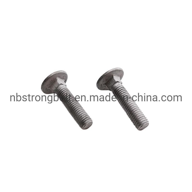 Carriage Bolt DIN603 with HDG