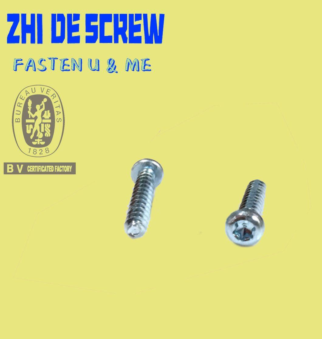 Factory Directly Supply Self Tappiing Screw Csk Philip Head Np Hot Sale Wholesale Price Good Service