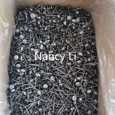Bwg13X1-1/2&quot; Bright/Polished Umbrella Head Roofing Nails Smooth Shank 25kg