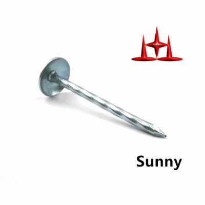 Eg Roofing Nails with Umbrella Head Twisted Shank 2-1/2&quot; X 9ga (BWG) Umbrella Head Roofing Nail for Sale