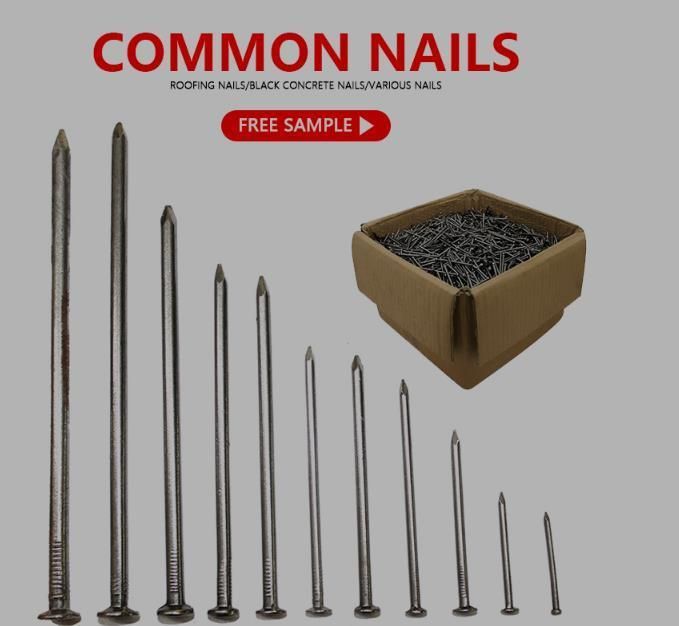 Mild Bright Black Ms Common Iron Wire Wood Steel Nails
