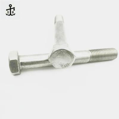 ANSI/ASME Ss 316 Hex Head Bolt/Hex Bolt/Stainless Hex Bolts A2-70 Made in China