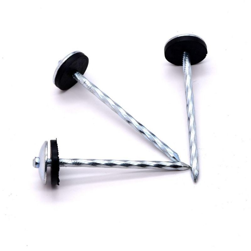 2.5*Bwg9 Umbrella Head Roof Nails Electro Galvanized Roofing Nails