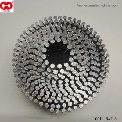 China Wholesale Factory Supplier Competitive Price Steel Galvanized 16D Whiteness Wire Coil Nail Collated Nails.