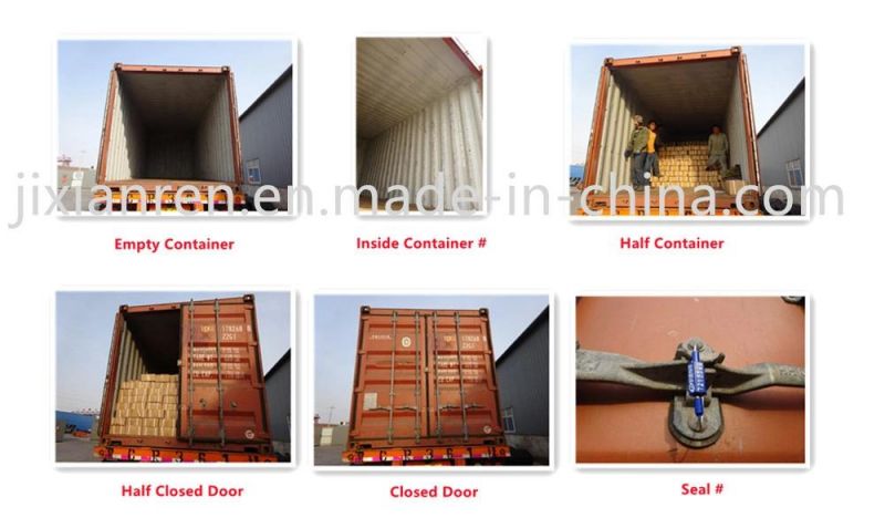 Eg Common Nail with Low Price and High Quality