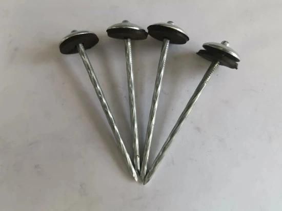 China Galvanized Umbrella Head Roofing Nails