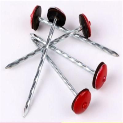 Flat Cap Roofing Nail Hemp Rod Galvanized Semi-Adhesive Pad Iron Nail Round Nail