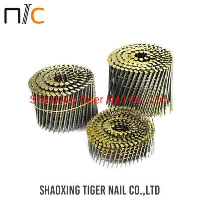 Cail Nail3.1 (7.1)