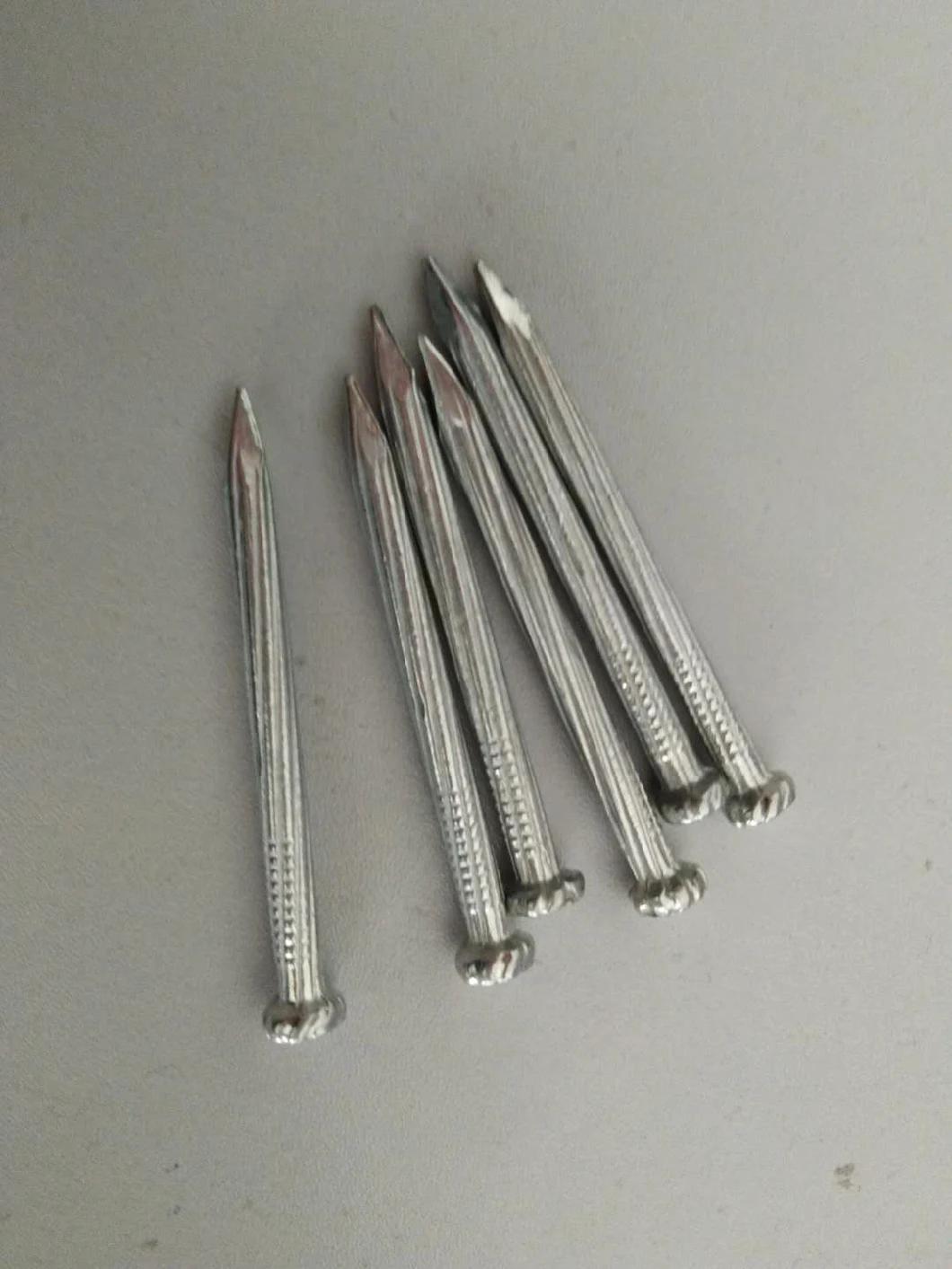 Eletro-Galvanized Nail Concrete Steel Nail