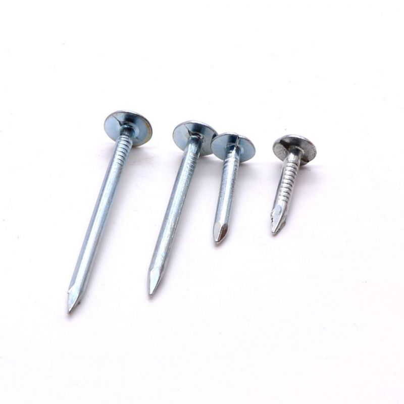 High Quality Eg HDG Large Flat Head Iron Nails Roofing Nails Clout Cupper Nails