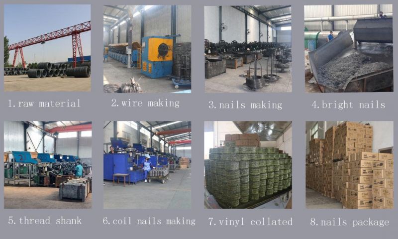 Ring Shank Woodwork Coil Nails Factory Direct Sale