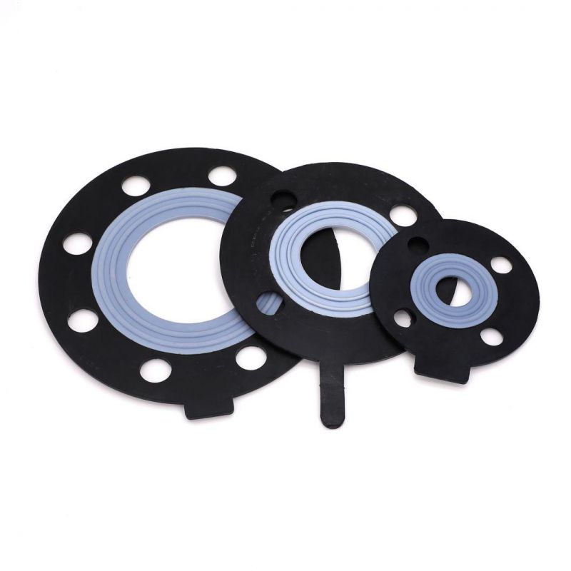 EPDM Rubber PTFE Flange Gasket