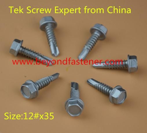 Screw/Bolts/T Bolts T Screw Special Bolts/Fastener