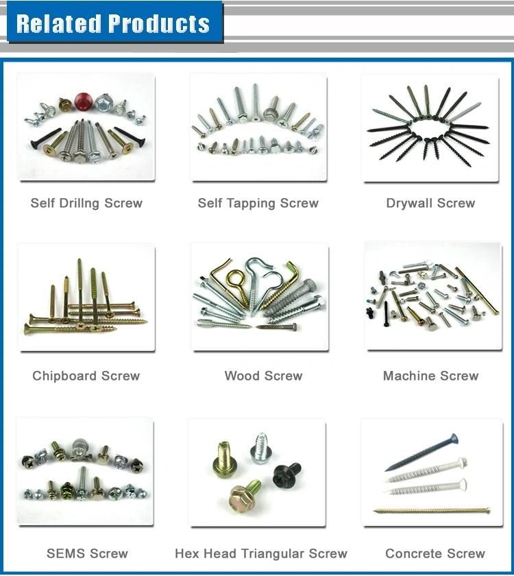 Stainless Steel 18-8 Pan Head Slotted Screw Self-Tapping Screw Type a Nail Screw GB5282