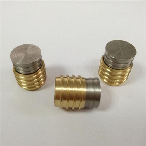 Hasco Mold Plugs Brass Pipe Plugs for Cooling System