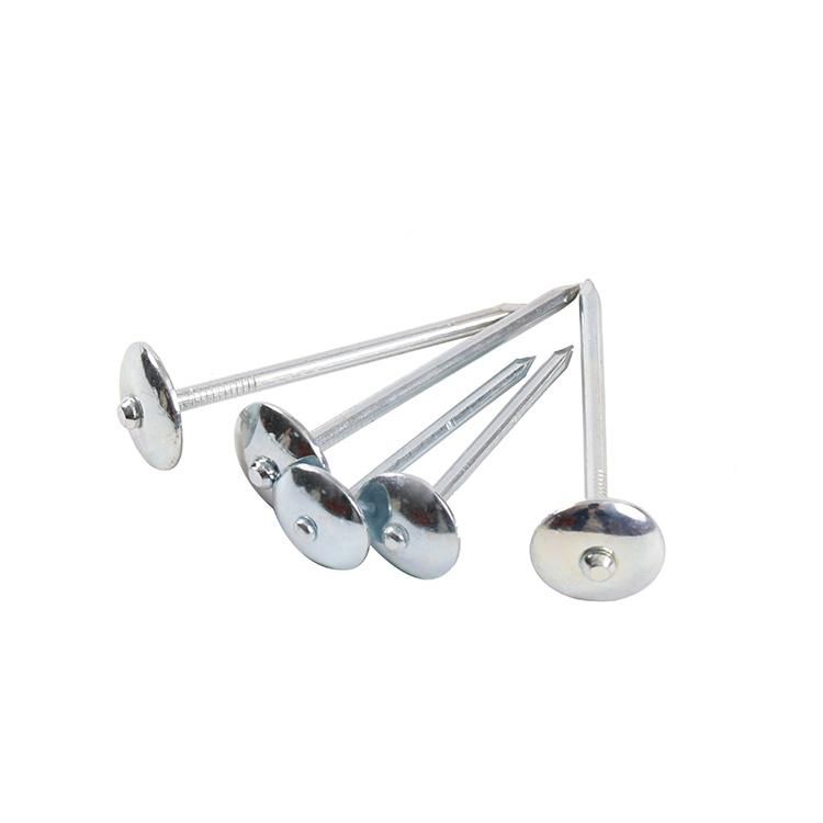 Galvanized Smooth Shank Umbrella Head Roofing Nails
