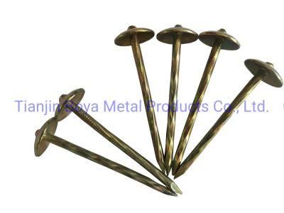 Chinese Factory Supply 2.5 Inch Wire Nails Umbrella Roofing Nail