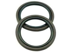 Silicone Gasket Polytetrafluoroethylene Glyd Ring