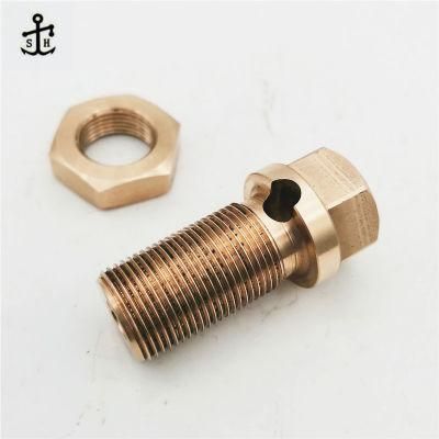 Customize High Quality and Precision Special SGS Certificate Bronze Hexagon Bolts Whit Whole Made in China