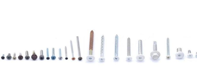 White/Colour Lacquered Head Carbon Steel Self-Tapping Screw