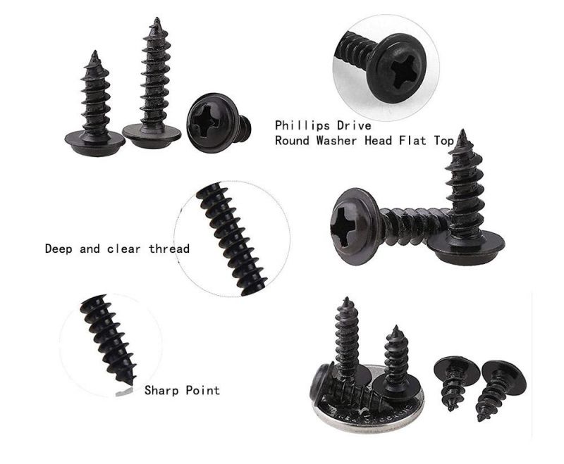 Truss Head Flat Top Phillips Drive #2 Phil Zinc/Phosphated Fastener Self Tapping Sheet Metal Screws