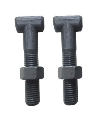 OEM High-Grade Fasteners T Bolt