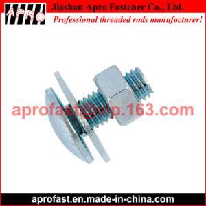 DIN 603 Carriage Bolt with Nut and Washer