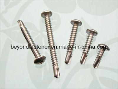 Self Drilling Screw DIN7504n Ss Self Tapping Screw Bimetal Screw