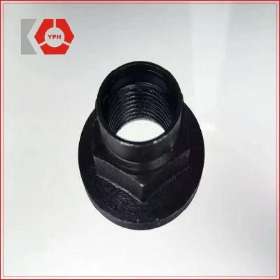 Special Nuts of Black High Strength