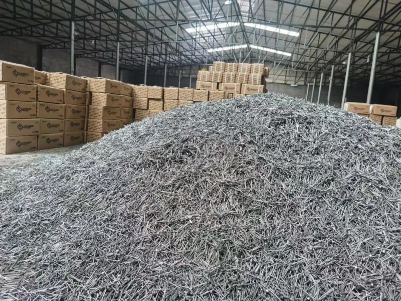 Best Price Common Nails/Concrete Steel Nail /Iron Nail/Polished Wire Nail/Common Round Nails/Metal Nails/Wood Nail