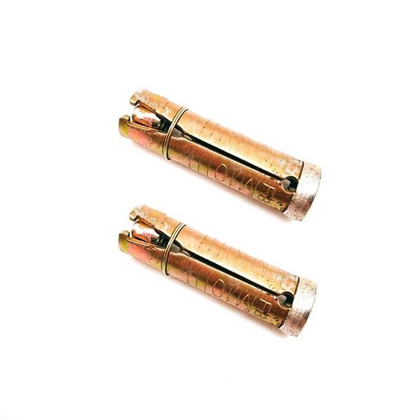 Carbon Steel M30 Zinc Shield Anchor Bolt with Hex Nuts