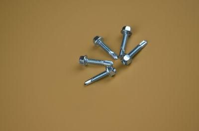 Screw/Self Drilling Screw/Self Tapping Screw/Fastener