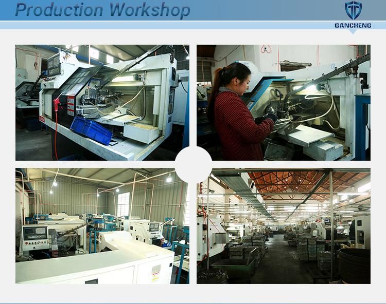 Factory Hot Sale Ss 304 Single Ear Pipe Fitting