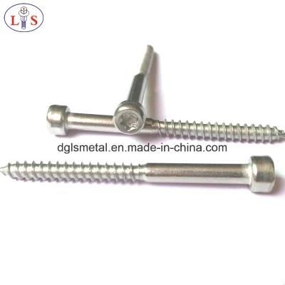Stainless Steel Cup Head Torx Recess Screw