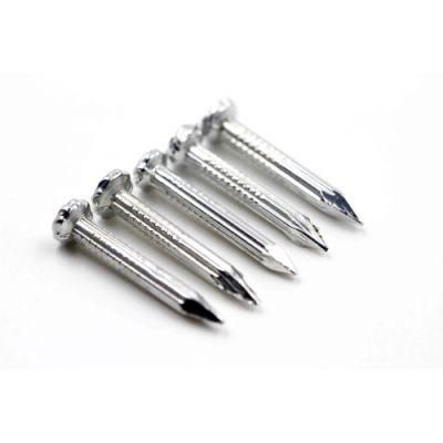 High Quality Electro Galvanized Concrete Steel Nail