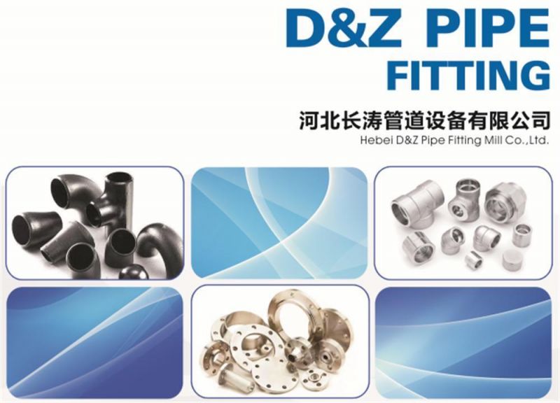 ASME/ANSI/DIN/En/GOST/BS/Uni/RF/FF/Rtj/150#-2500# Carbon Steel /Stainless Steel /Alloy Steel Forged Wn/So/Th/Pl/Sw/Lj/Bl Flange