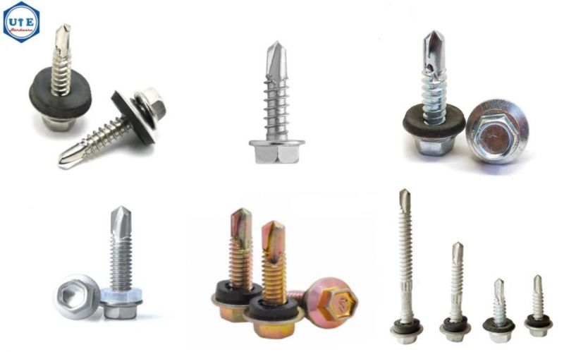 High Quality Stainless Steel 410/304/316 Hexagon Head Tapping Wood Screws DIN7976