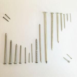 Galvanized and Polishing Steel Screw Round Head Iron Nails