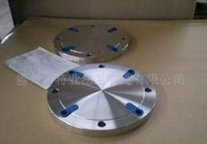 Stainless Steel Forged Flanges and 304 316 316L