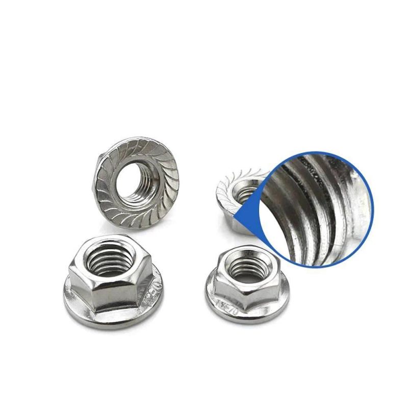 Stainless Steel 316 Flange Nuts Hexagon Nuts with Flange
