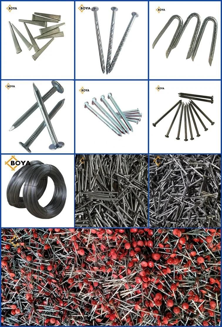 Factory Price Common Nail/ Iron Nail/Wood Nail/Building Nail/Concrete Nail/Roofing Nail