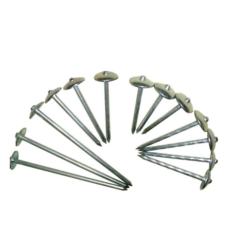 Zinc Plated Umbrella Roofing Nails with Rubber Washer