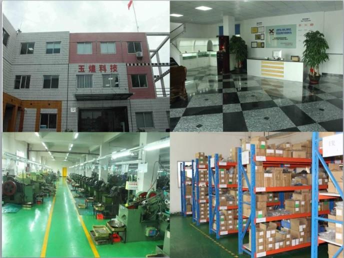 China Pan Head Self-Tapping Cross Recessed PT Screw