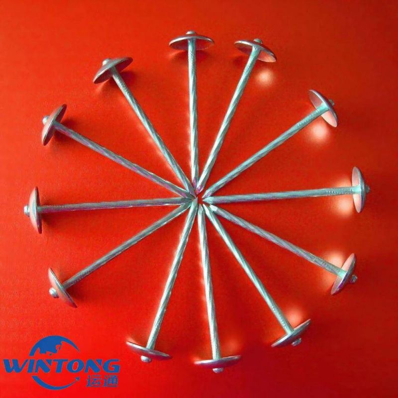 Galvanized Roofing Nail/Rubber Padded Plain Rod Roofing Nail/Polished Galvanized