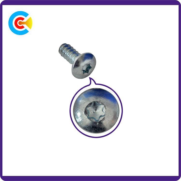 GB/DIN/JIS/ANSI Carbon-Steel/Stainless-Steel Plum Blossom with Tenon Screw