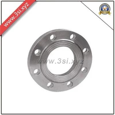 Stainless Steel Forged Plate Flange (YZF-M067)