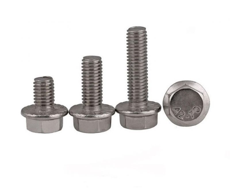 Hexagon Flange Screw Stainless Steel and Titanium